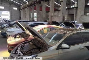 上萬泡水車來襲,購車需謹慎